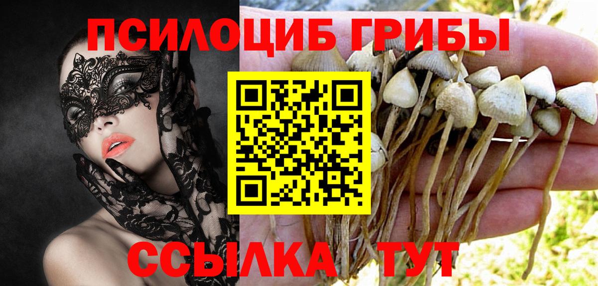 Галлюциногенные грибы ЛСД Калач-на-Дону