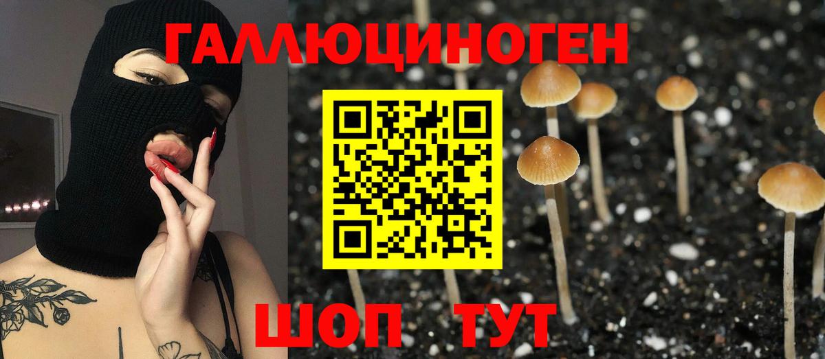 Калач-на-Дону  Псилоцибиновые грибы Psilocybe  Вход с VPN  Псилоцибиновые грибы мицелий 